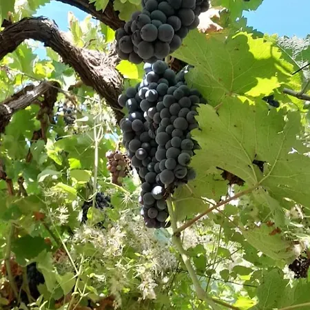 Appartement Eloid Berat