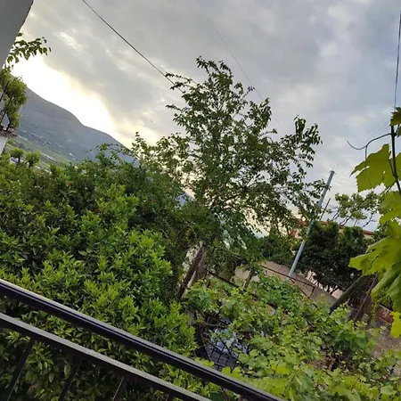 Eloid Apartment Berat