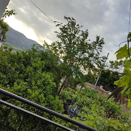 Apartment Eloid Berat
