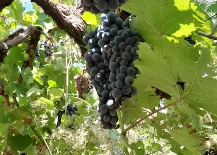 Apartamento Eloid Berati