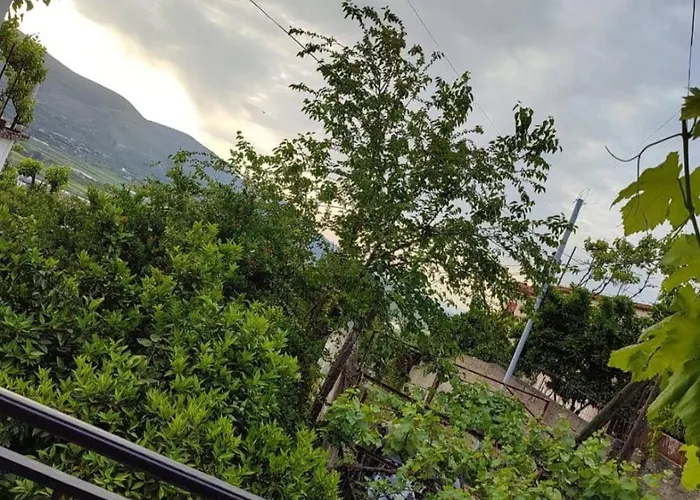 Eloid Apartamento Berati